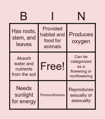 Characteristics of Plant Bingo Card