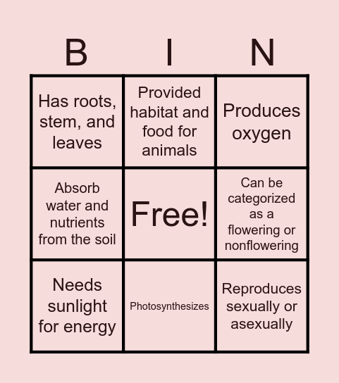 Characteristics of Plant Bingo Card