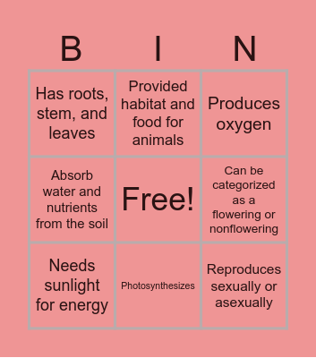 Characteristics of Plant Bingo Card