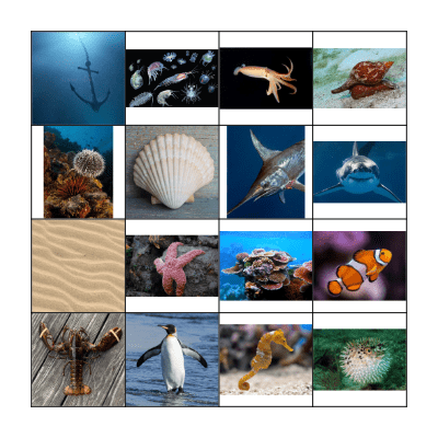 OCEAN LIFE Bingo Card