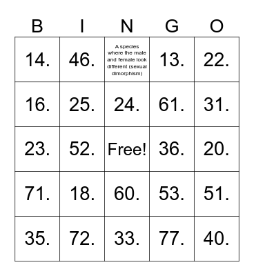 BPZOO Bingo! Bingo Card