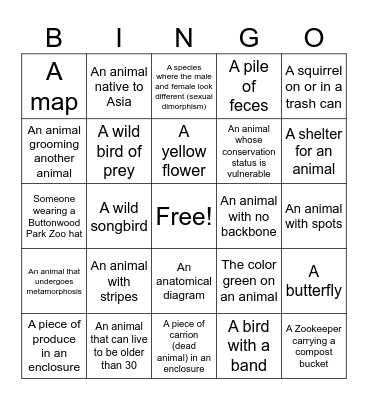 BPZOO BINGO Scavenger Hunt Bingo Card