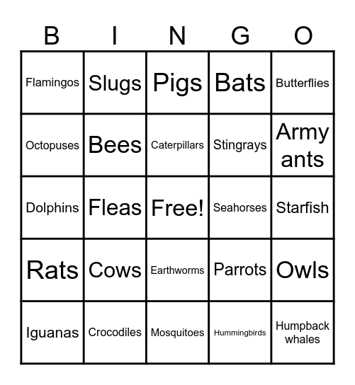 How well do you know Caribbean Fauna? Bingo Card