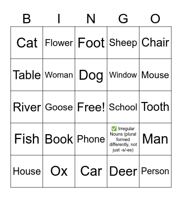Singular and plural nouns Bingo Card
