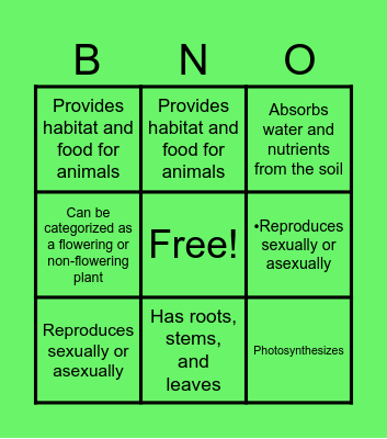 PLANT CHARACTERISTICS Bingo Card