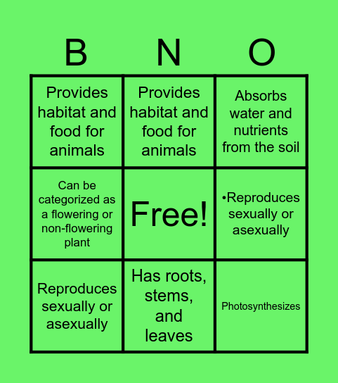PLANT CHARACTERISTICS Bingo Card