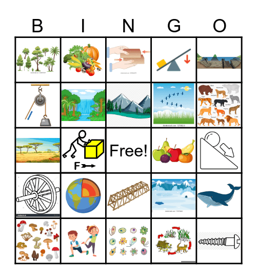 CSH T3 Science Bingo Card