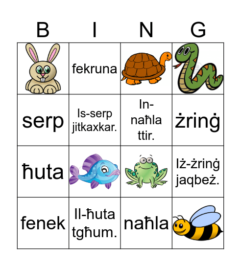 Passiġġata Bingo Card