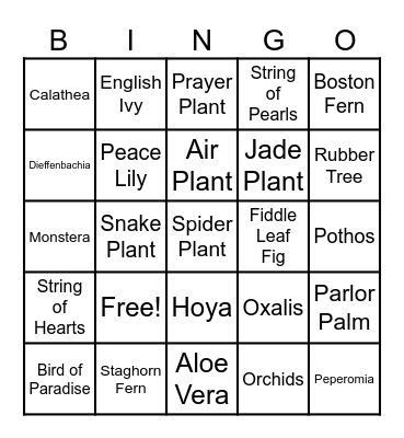 Houseplant Bingo 3 Bingo Card