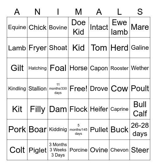 LIVESTOCK Bingo Card