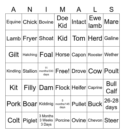 LIVESTOCK Bingo Card