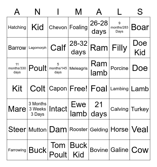 LIVESTOCK Bingo Card
