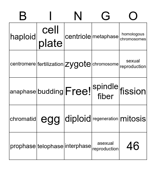 Mitosis/Meiosis Bingo Card