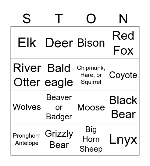 yellowstone Bingo Card