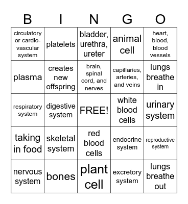 Biology - the study of living things Bingo Card