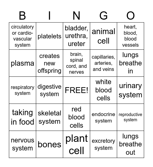 Biology - the study of living things Bingo Card