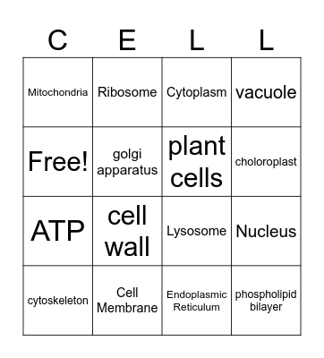 Cell Organelle Bingo Card