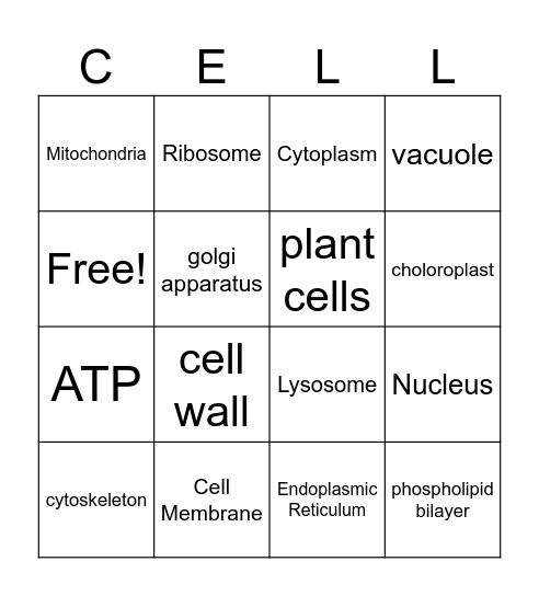 Cell Organelle Bingo Card