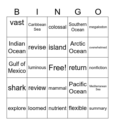 3rd WW M1L11 Deep Dive Review: Ocean Vocabulary Bingo Card