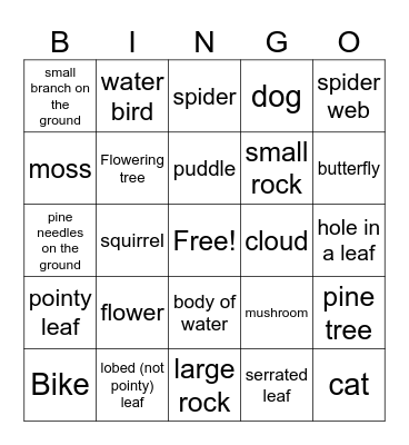 Nature walk bingo Card