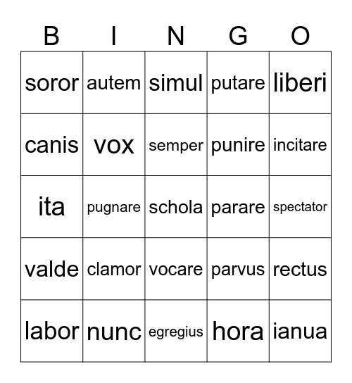 Pontes - Vokabelbingo Card