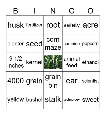 All About Corn Bingo Card