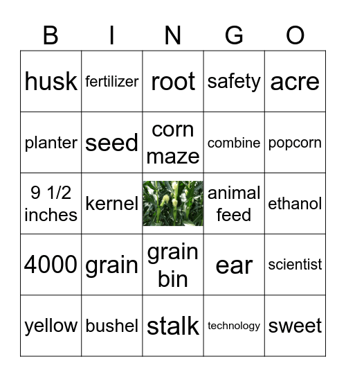 All About Corn Bingo Card