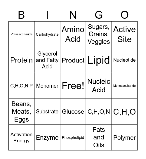 Biomolecule Bingo Card