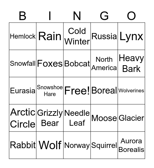 taiga biome animals Bingo Card