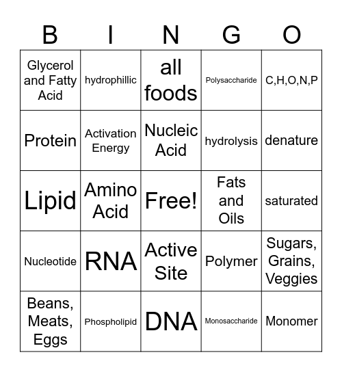 Biomolecule Bingo Card