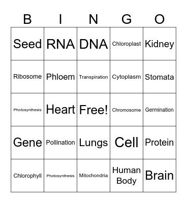 BIO BINGO Card