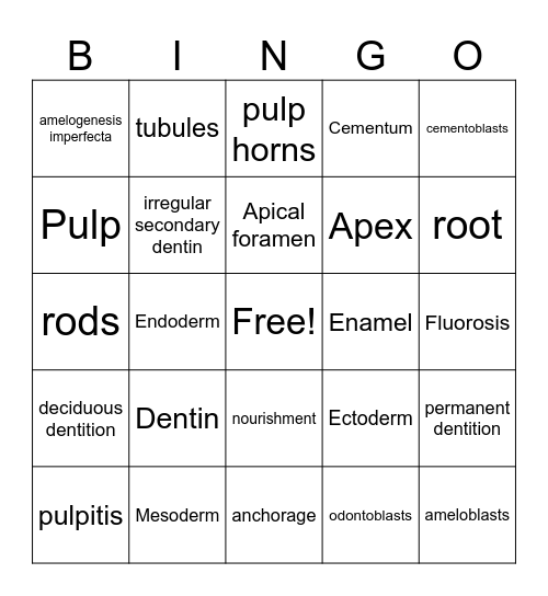 Week 1 review Bingo Card