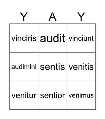 4th Conjugation Bingo Card