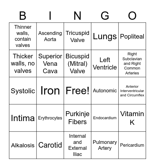 Cardiac & Vascular Anatomy Review Bingo Card