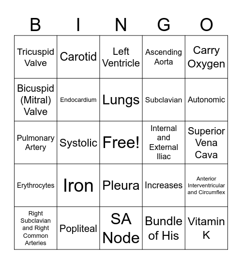 Cardiac & Vascular Anatomy Review Bingo Card