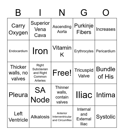 Cardiac & Vascular Anatomy Review Bingo Card