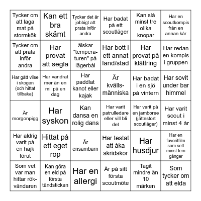 Hitta en scout som... Bingo Card