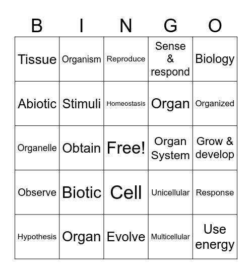 Unit 1 Bingo Card