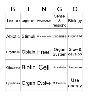 Unit 1 Bingo Card