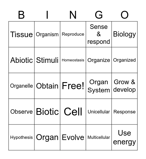 Unit 1 Bingo Card