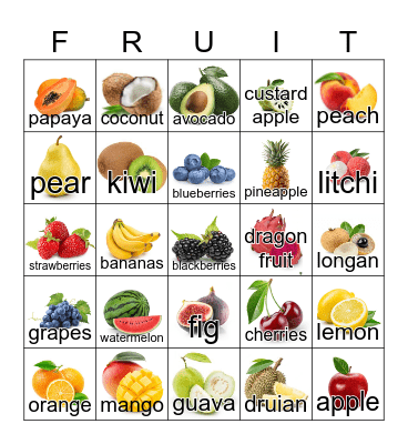 Pa ca tac! Bingo Card