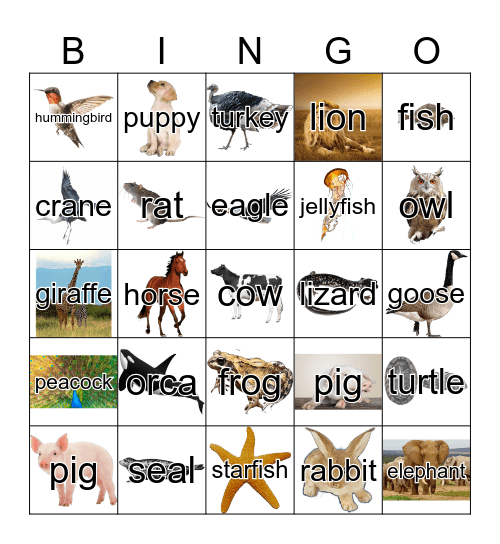 Animals Bingo Card