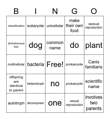 Classification Vocabulary Bingo Card