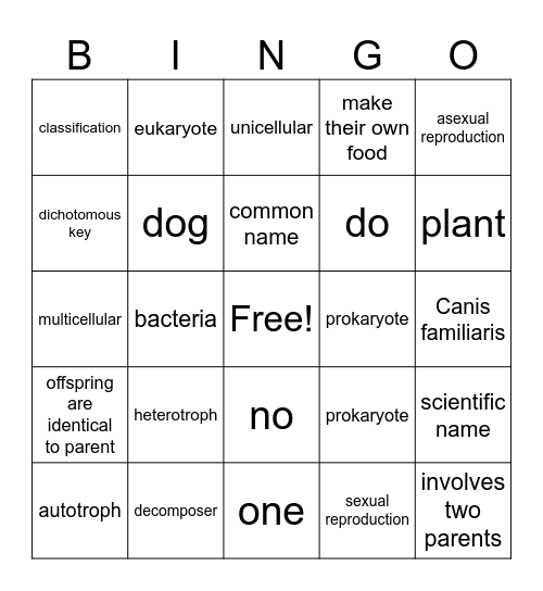 Classification Vocabulary Bingo Card