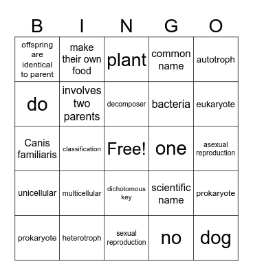 Classification Vocabulary Bingo Card