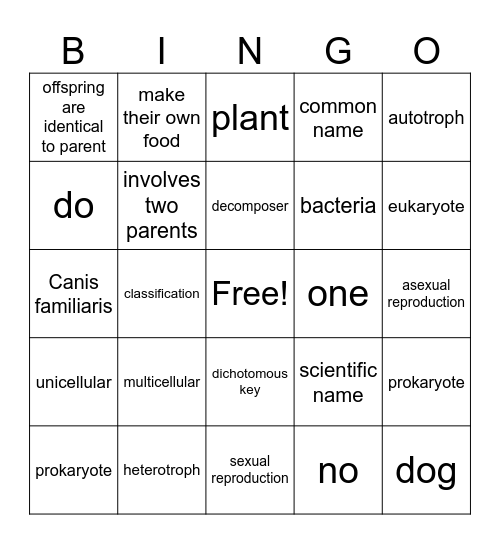 Classification Vocabulary Bingo Card