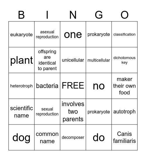 Classification Vocabulary Bingo Card