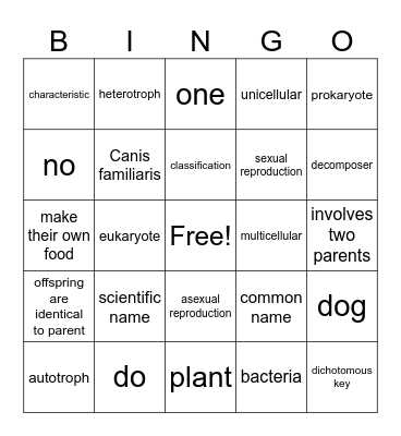 Classification Vocabulary Bingo Card