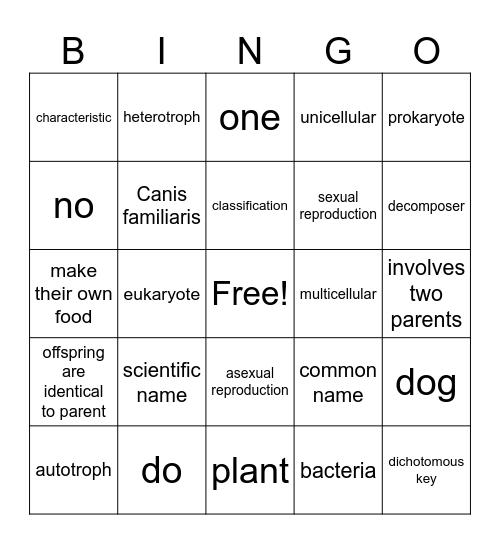 Classification Vocabulary Bingo Card