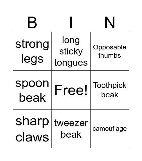 Animal Adaptations Bingo Card